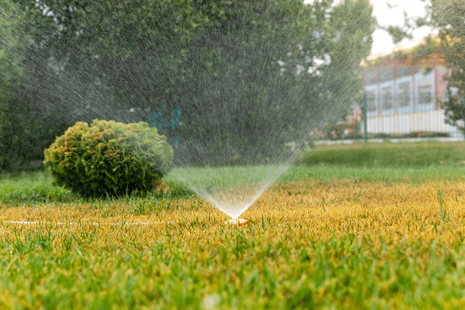 Expert Drainage Services in Saginaw , TX Designed for Lasting Landscape Success