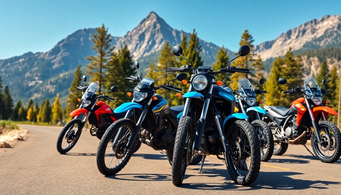 Showcase of dual sport street legal motorcycles on an open road against a scenic mountain backdrop.