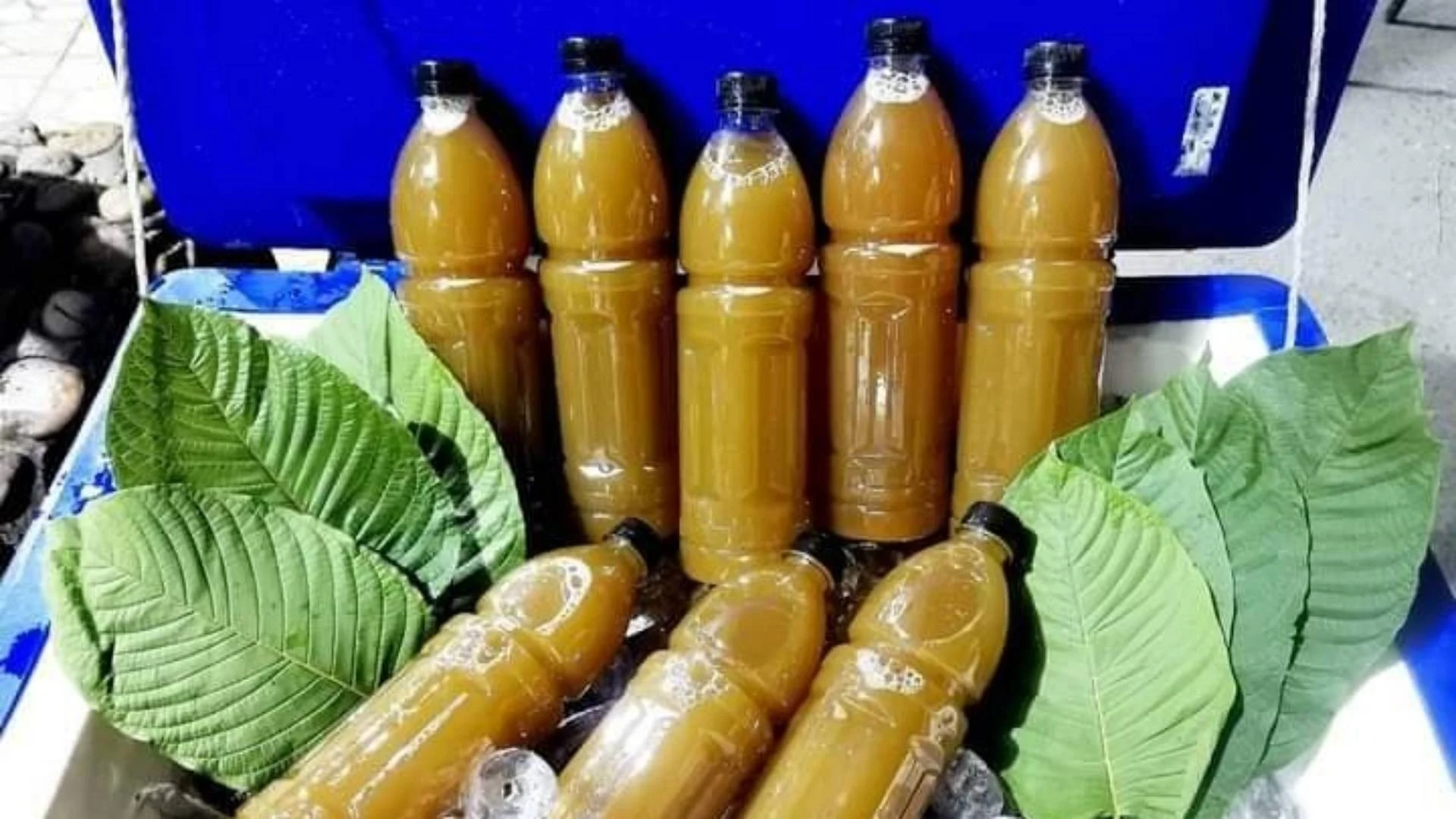 สิ่งที่ควรตรวจสอบเมื่อเลือกร้านกระท่อมใกล้ฉัน